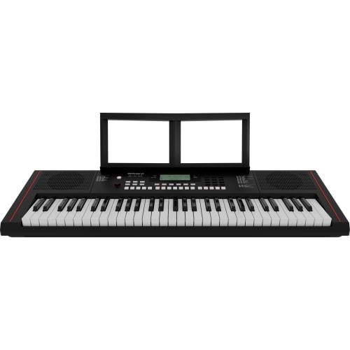 Roland E-X10 Electronic Arranger Keyboard, Easy Operation, 61 Keys, Auto Accompaniment, Microphone Input, Recording Function, Battery Operation, Perfe