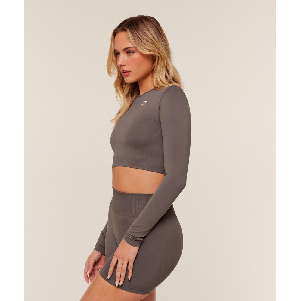 Gymshark Alltag Seamless Langarm Crop Top Cool Brown B7a2s Nbzg