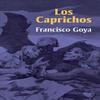 Los Caprichos by Francisco Jose De Goya Paperback Book 9780486223841