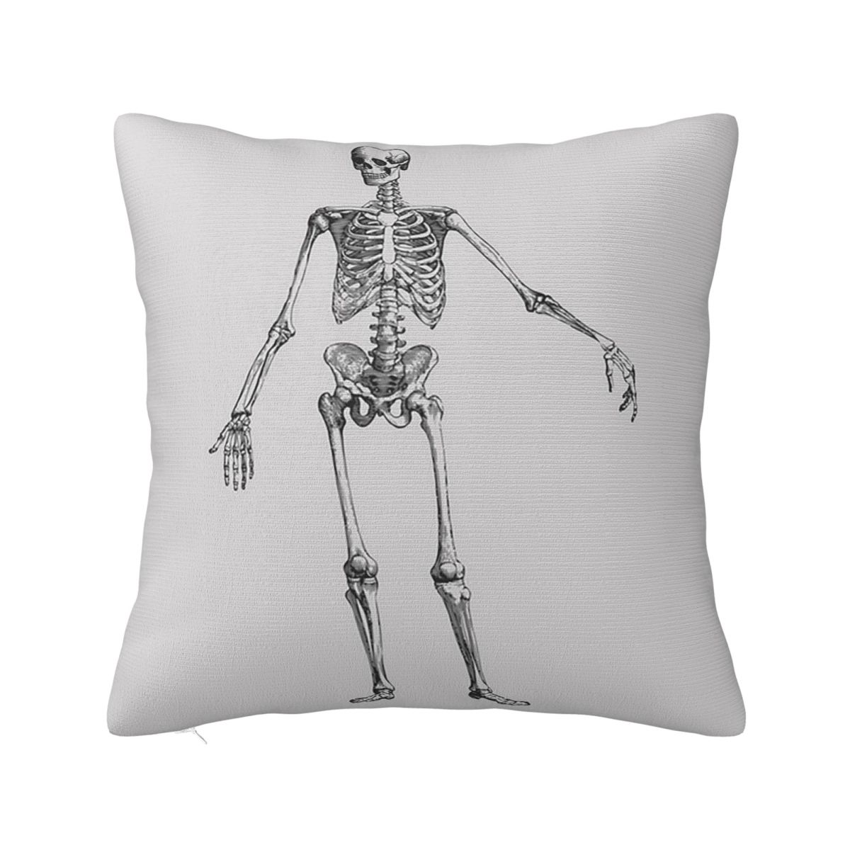

Anatomical Skeleton Square Pillowcase Cushion Cover Pillow Case Throw Pillow Cover for Home Sofa Living Room 12x12Inch