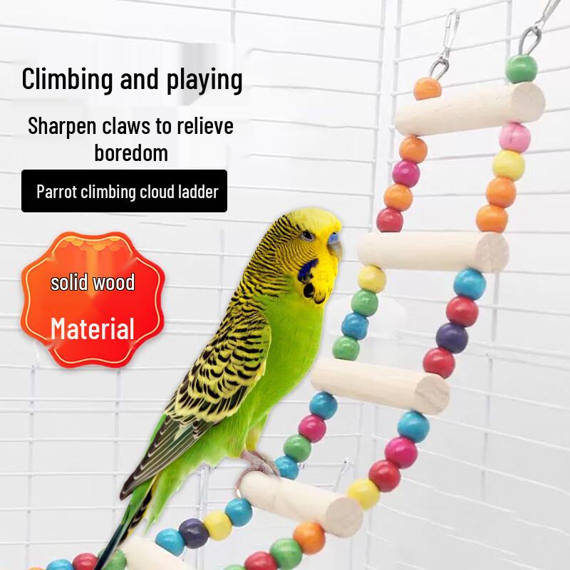 Bird Climbing Ladder & Swing Toy