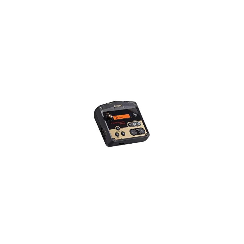 Roland TM-2 Trigger Module, a hybrid drum sound module ideal for live performance and practice. Supports SD card and battery operation, with two