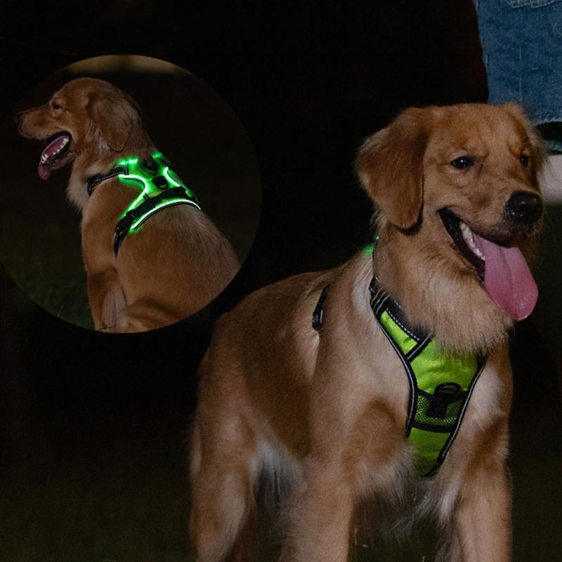 Mode Hunde Geschirr Leine Verstellbare Länge Haustier Brust Rücken LED Hunde Weste mit Robuster Schnalle für Haustier Outdoor Spaziergänge