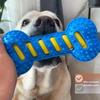 Gummi-Hundespielzeug zum Zähneputzen Welpenzahnen Interaktiver Molarenstick Knochen Langlebige Kauspielzeuge für aggressive Hunde