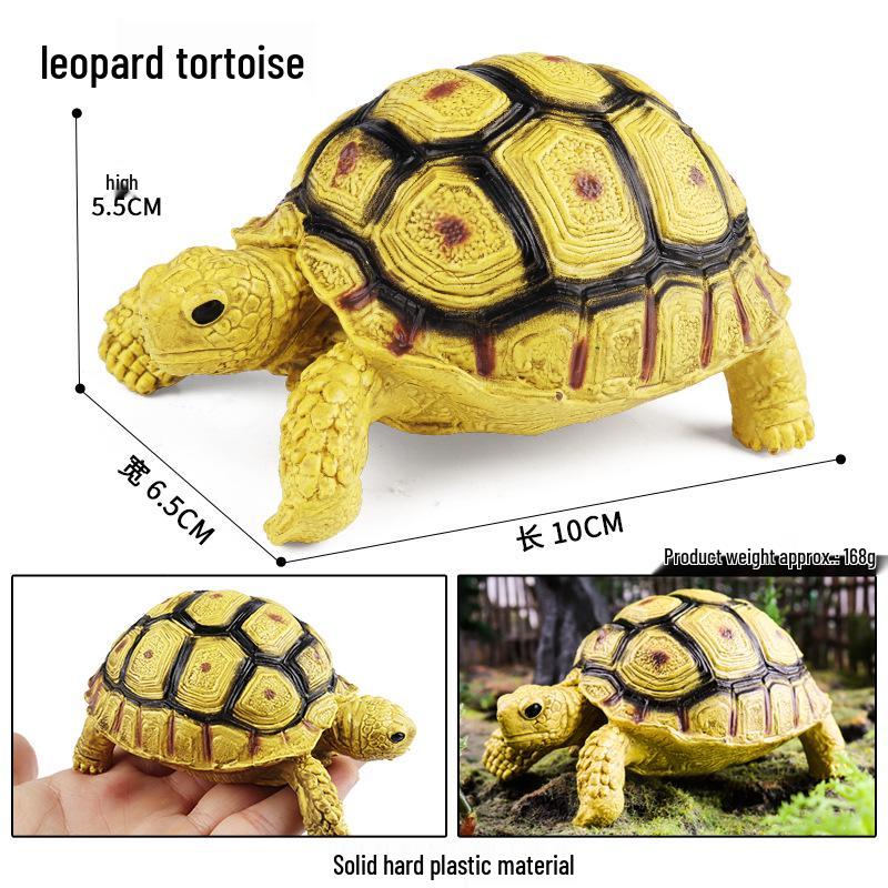 Children's Cognitive Marine Animal Models: Sea Turtle and Tortoise Toys