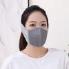 Plush Thermal Earmuffs Mask Warm Ear Warmer Winter Fleece Winter Mask