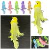 Colorful Simulation Bird Six Colors Artificial Bird Hanging Ornaments  Outdoor Decoration