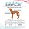 Dog Harness Company of Animals Green L 42-65 cm