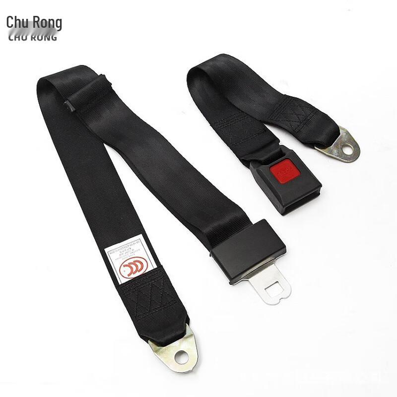 Universal Extra Long 2-Point Vehicle Safety Belt