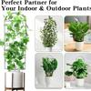 Trellis For Potted Plants Universal Stable Metal Houseplants Support Potted Plant Garden Trellis Stakes For Vine Ivy Clematis