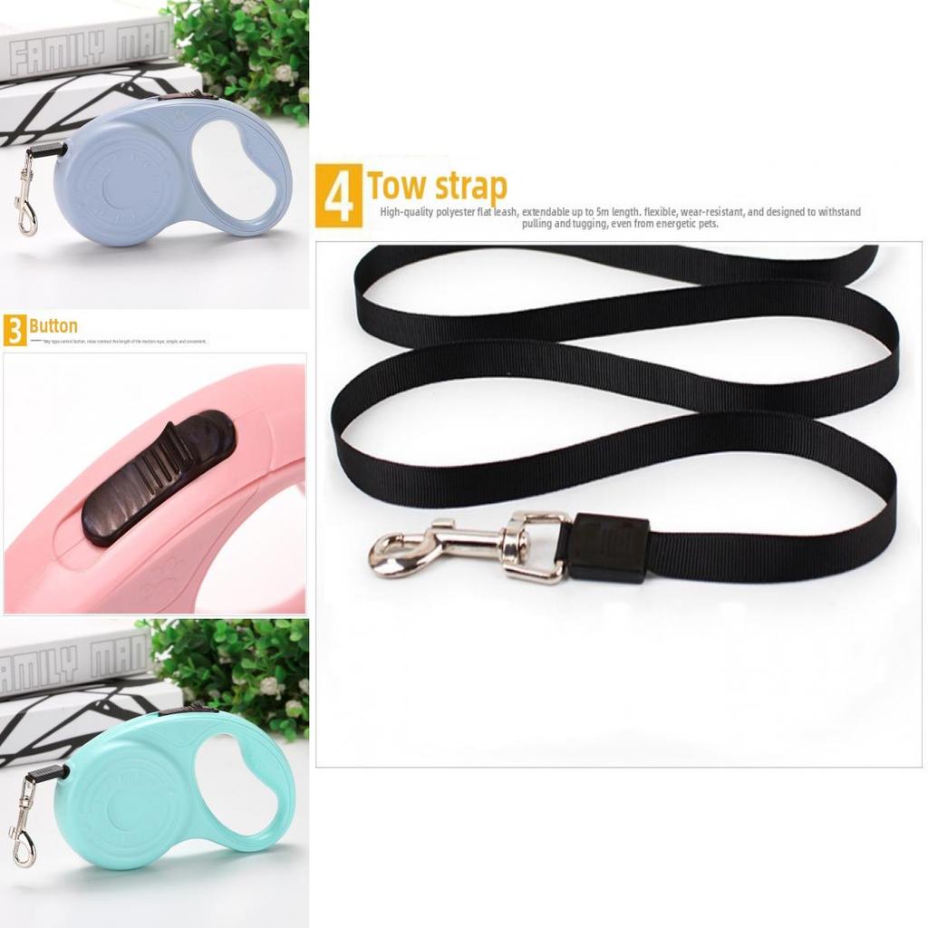 Pet Retractable Leash With Anti Slip Handle For Small Medium Dogs And Cats