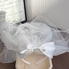 Children's Headband with Veil, Satin Bow, and Toddler Photo Prop