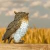 Simulated Animal Sculpture Vivid Bird Miniature Figurine Cute Owl Statue  Bookshelf