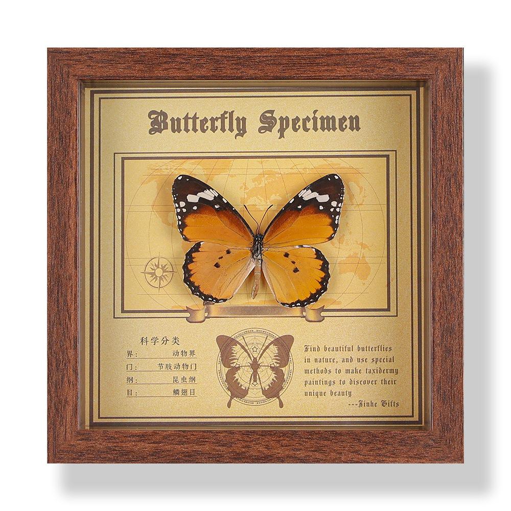 Real butterfly specimen photo frame, decorative painting, 3D ornament, handmade DIY, birthday gift, insect specimen