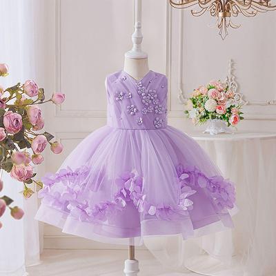 Europäisches & Amerikanisches Perlenbesetztes Prinzessin Mesh Kleid für Geburtstage & Klavieraufführungen