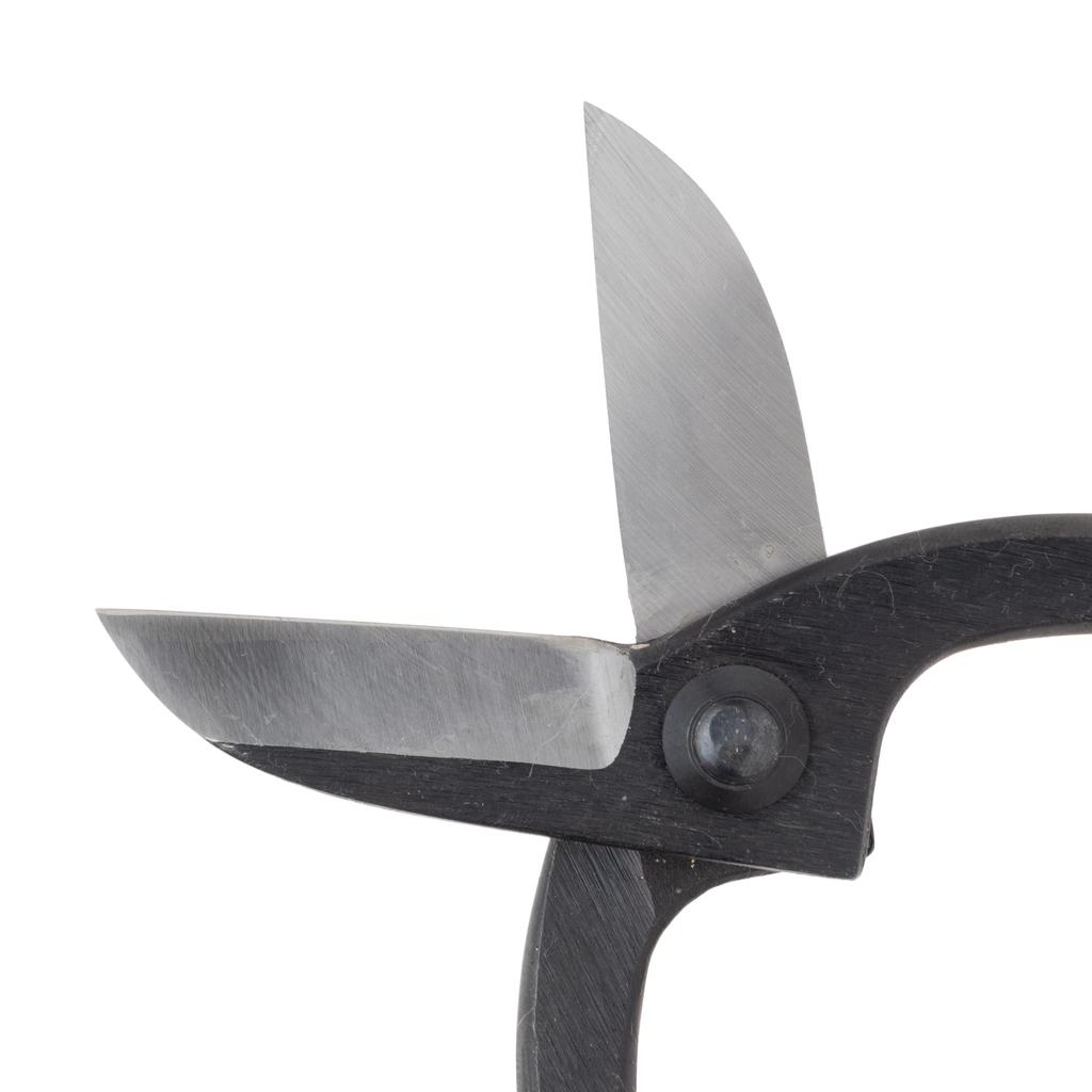 Tanabe Ikenobou Steel Scissors, Blade, 165mm, S-258