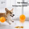 Self-Entertainment Bite-Resistant Dog Toy Ball for Home and Outdoor Play