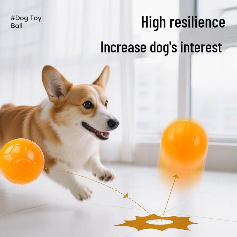 Self-Entertainment Bite-Resistant Dog Toy Ball for Home and Outdoor Play