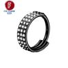 G23 Titanium Daith Cartilage Earrings 16G Helix Nose Septum Piercing Conch Hinged Clicker Body Jewelry Ear Ring Zircon