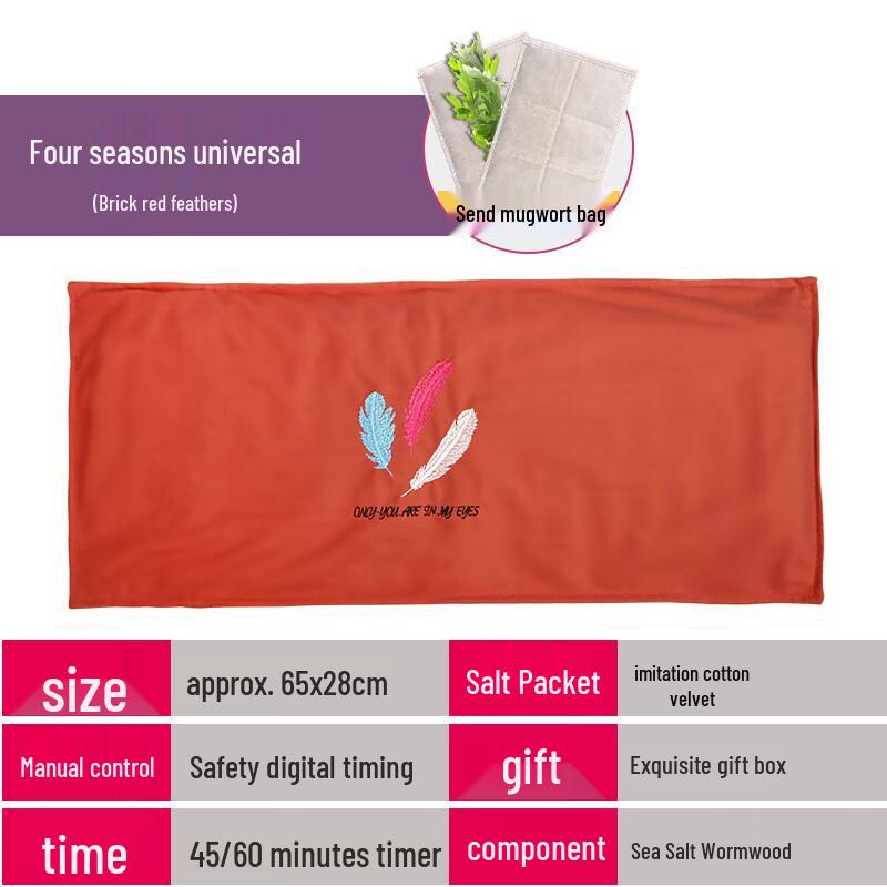 Electric Wormwood & Salt Heating Pad