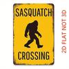 2D Flat Metal Sign Footprints, 8x12 Frameless Decorative Plaque, Fun Indoor Outdoor Wall Art, Multipurpose Home Garden Decor