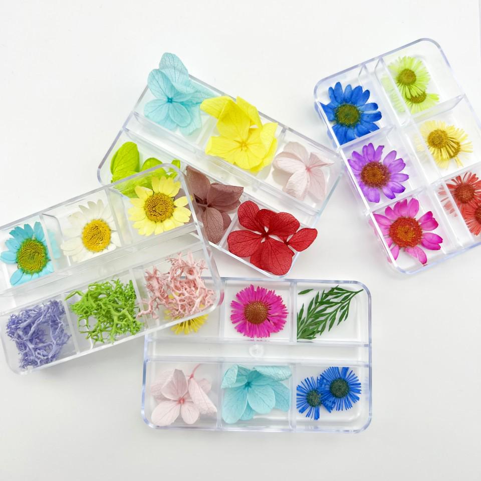6-Grid Natural Dried Flowers for Nail Art - Japanese Style Sunflower & Baby's Breath DIY Decorations