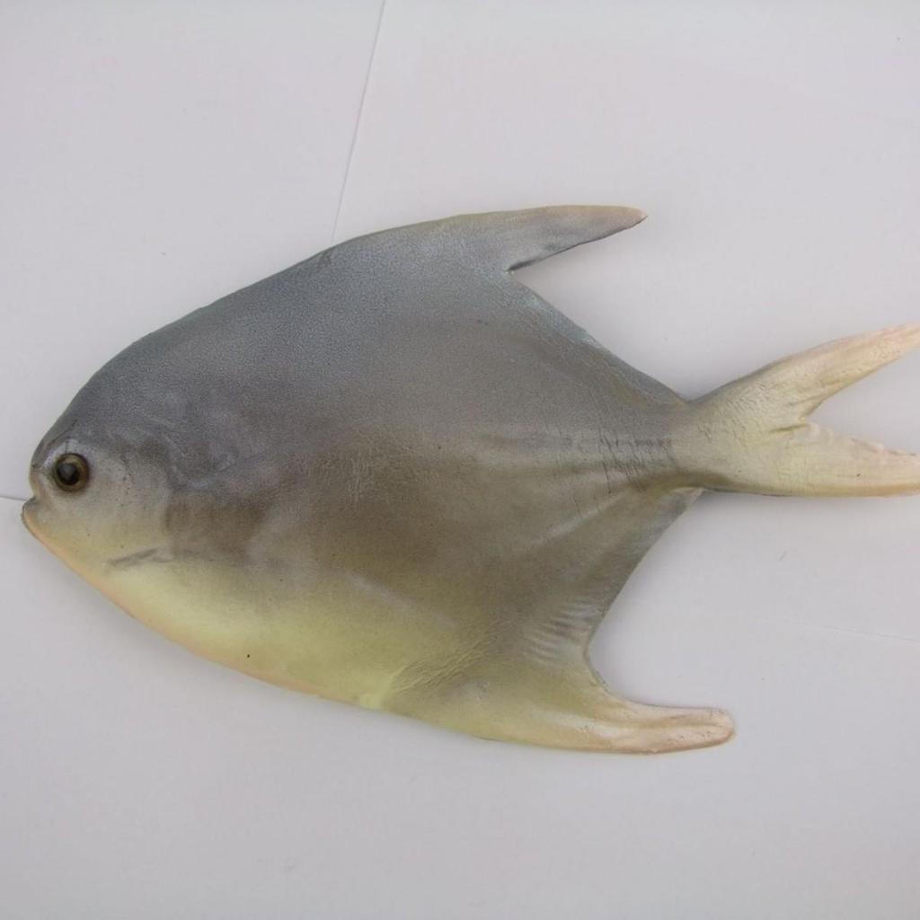 Artificial Vegetable Set: Eggplant, Cabbage, Cucumber, Celery, Spinach - Kitchen Decoration