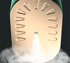 Compact Handheld Electric Garment Steamer and Iron