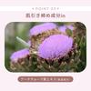 Wonjungyo Aqua Glue Primer 30g Makeup prevents makeup from coming base makeup [Official] / base, off,