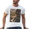 View Of Bad Gastein Rudolf Von Alt 1888 Tshirt Nonshrink Basic Cotton Tshirt