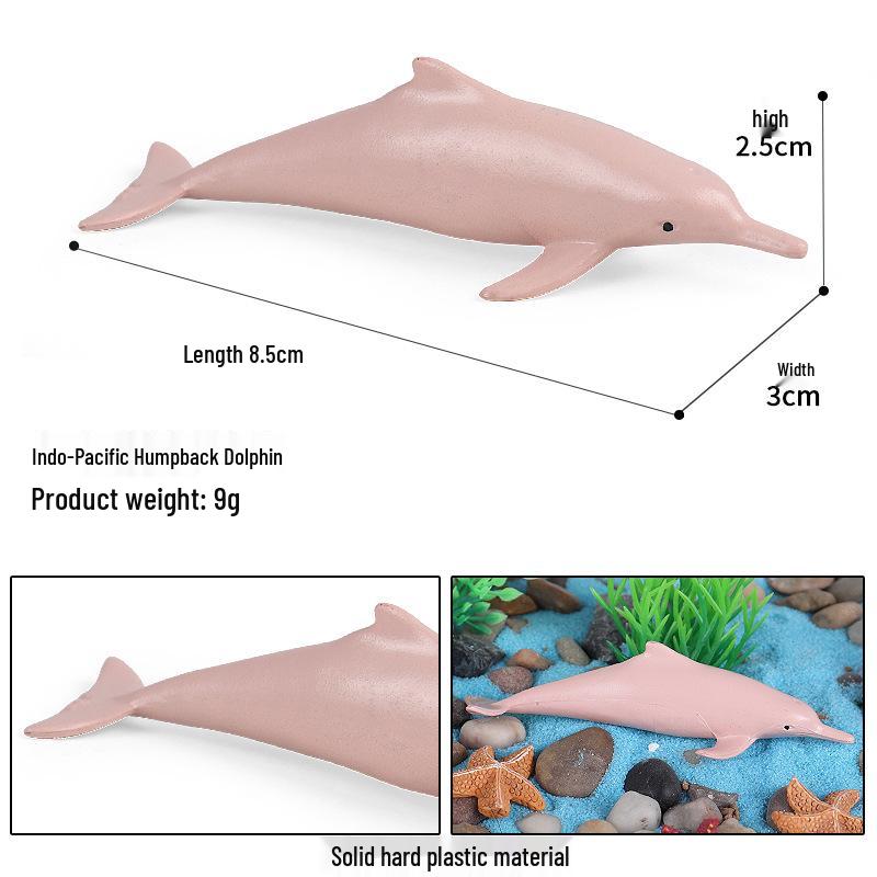 Marine Animal Simulation Models: Jellyfish, Octopus, Sea Shrimp, Sea Anemone, Squid, Horseshoe Crab, Crayfish, Arrowhead