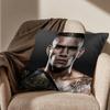 Weight category Alex Pereira Pillow Case Antidustmite Pillowcase Invisible zipper silky short plush Sofa cushion cover