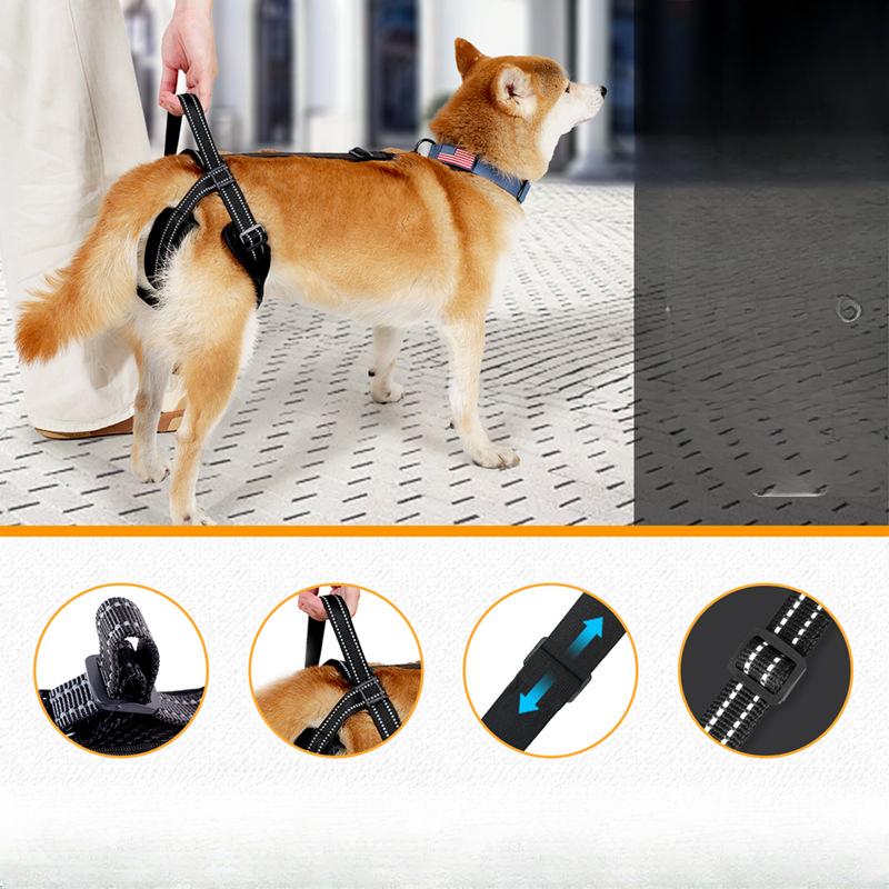 Dierenbenodigdheden: Honden Achterpoot Assistentie, Ondersteuning voor Middelgrote en Grote Honden, Gewonde Honden en Oudere Honden