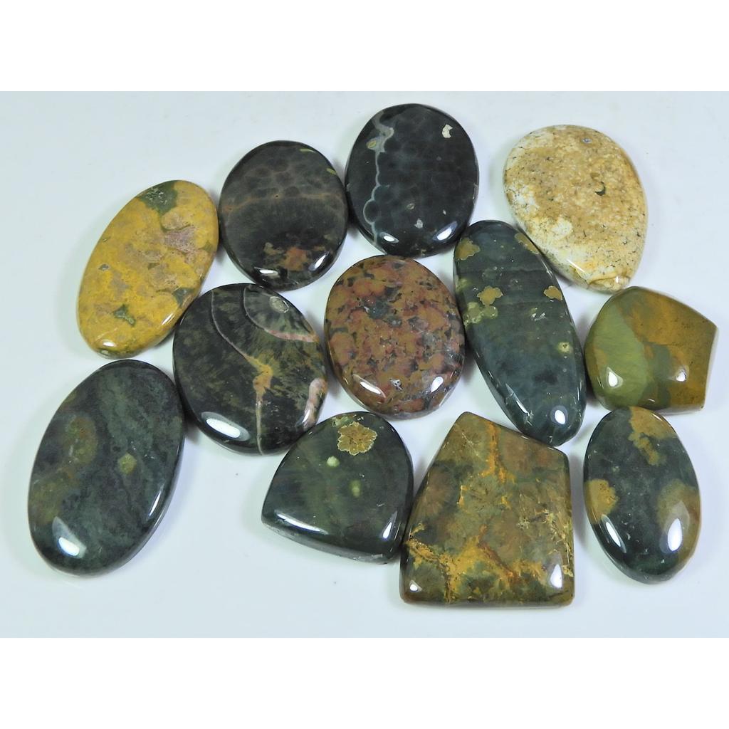 252Cts. Natural Ocean Jasper Mix Shape Cabochon Loose Gemstone 12 Pcs Lot C-307