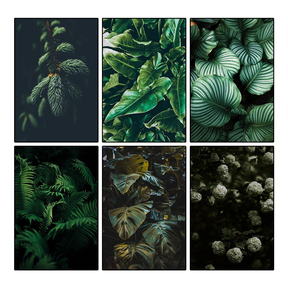 Modern Nature Canvas Painting Green Leaves Paintings Plant Pictures Tree Posters Prints for Living Room Decor Cuadros Wall Art