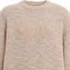 Coach FW24 Letter Embroidery Crew Neck Pullover Sweater Men sweater Light-Brown CT065-OTM