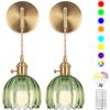 Wireless USB Charging Remote Chandelier with Retro Glass Flowers for Bedroom or Dining Room - Nordic Style