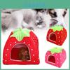 Cama Tenda Confortável e Colorida para Animais de Estimação com Design de Morango Ideal para Cães