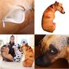 Kreatives 3D-Simulations-Hundekissen, Plüschtier Hund Stofftier für Kinder, Kurzer Plüschstoff, PP-Baumwollfüllung, Verschiedene Größen und Farben