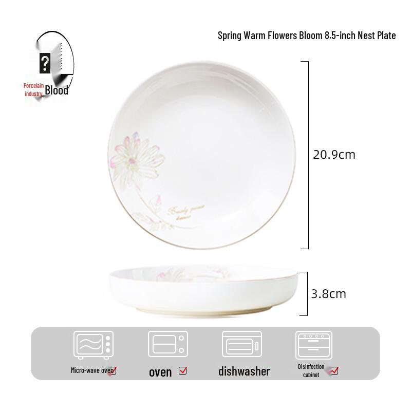 HUAIYI Ceramic Dinner Plate Set
