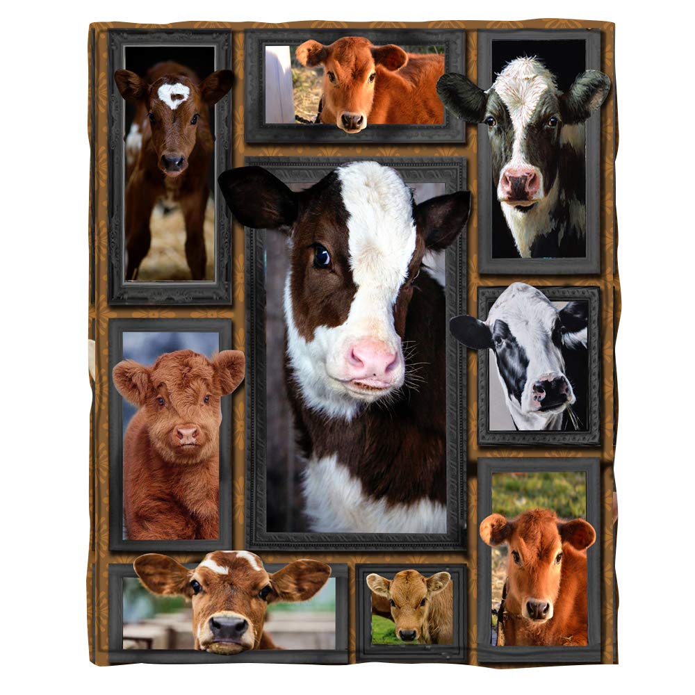 Cow Print Blanket Black White Bed Throws Soft Couch Warm Small Blankets Plush Gift for Daughter Mom, Bedroom Decor Sofa Cozy