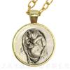 Human Anatomy Organ Necklace Glass Cabochon Science Medical Punk Brain Eye Jewelry Sweater chain Creative Gift