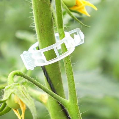 20Pcs Seedlings Fixing Clips Quick-open Support Fixing Clips Clear Vine Plant Buckles for Grafting
