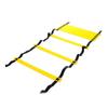Speed Agility Training Ladder