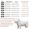 Transparent Waterproof Dog Raincoat, Raincoat for Small and Medium-Sized Dogs, Teddy and Bichon Frise Dog for Rainy Days Walking