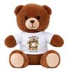 Bear Plush Toy - PLANETEE - Charly - 18 Cm - Polyester - Printed T-shirt (Brittany)