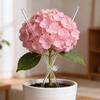 20/1PCS Plant Support Stakes Acrylic Clear Orchid Sticks For Potted Support Tomatoes Flowers Grow Upright Gardening Supplies