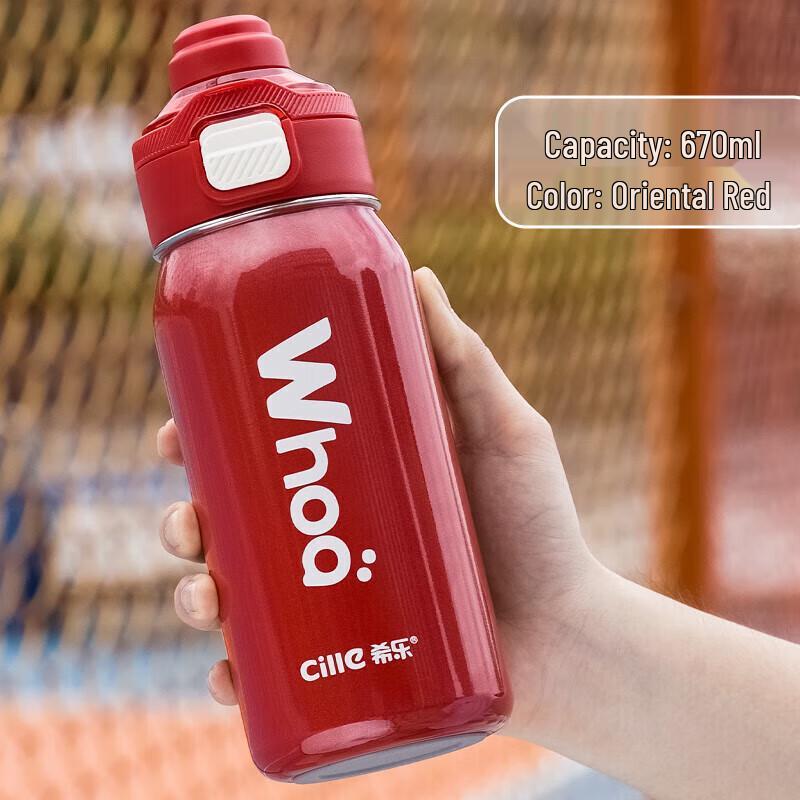 Cille 316 Stainless Steel Insulated Mug with Straw and Dual Lid