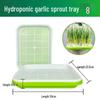 Garlic & Pea Sprouts Hydroponic Tray - Seedling & Sprouting Tool