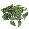 Supvox 100pcs Fake Fabric Leaves Artificial Leaves for Scrapbook Craft Project